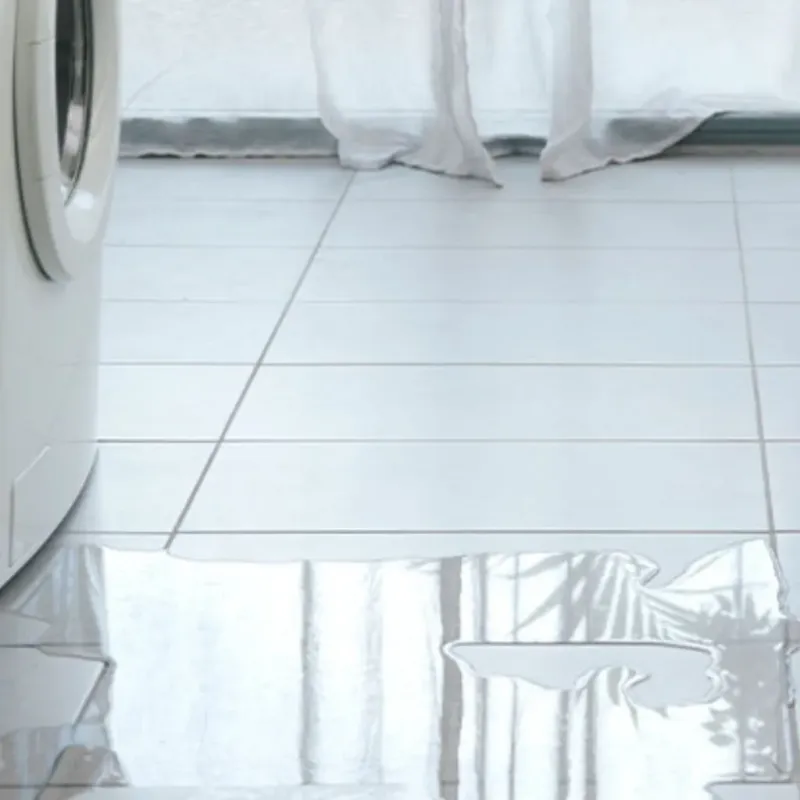Appliance Leak Cleanup in Malakoff, TX