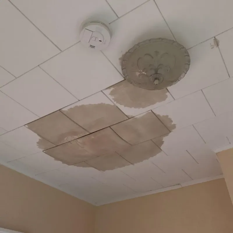 Ceiling Water Damage Repair in Malakoff, TX